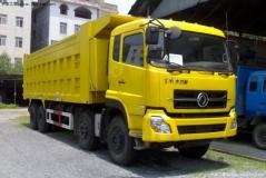 東風(fēng) 大力神重卡 375馬力 8X4 自卸車(chē)(DFL3310A14)